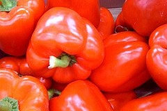 poivron-rouge